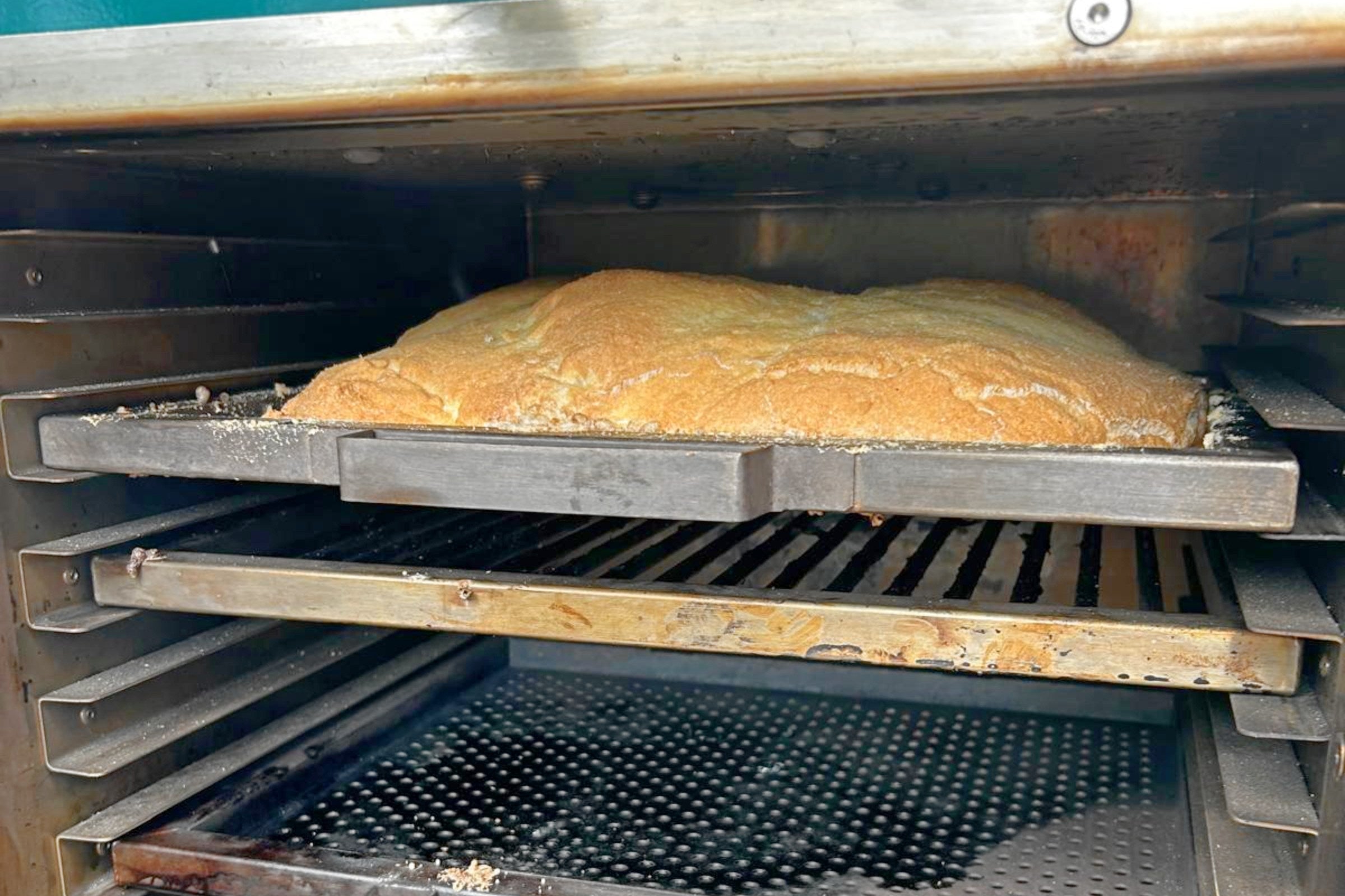 Salt baked sea bream in the Charlie Oven