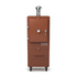 Charlie Charcoal Oven in cinnamon, a coppery orange-brown, front view with the door closed 