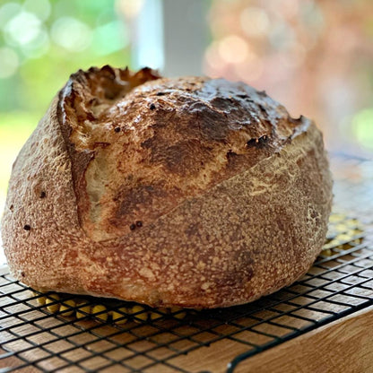 Sourdough in a Day Masterclass with Baker Jay Porterhouse